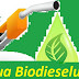18 martie: Ziua Biodieselului