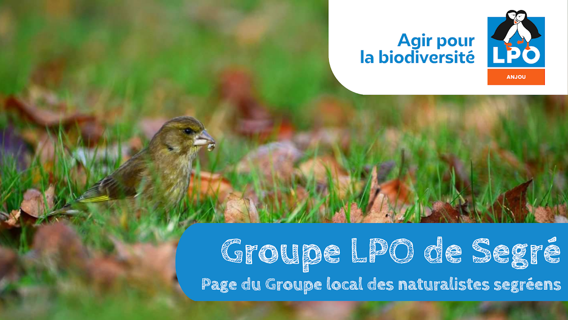 Groupe LPO de Segré