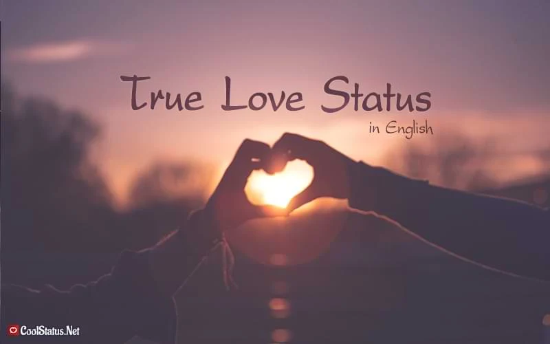 True Love Status,True Love Status in English, status about true love,true love quotes