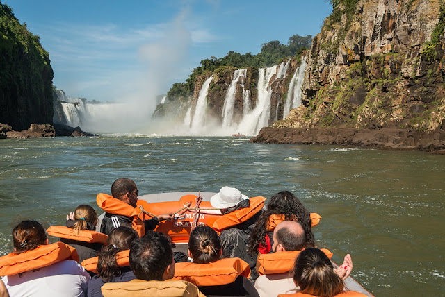 5 motivos para viajar para Foz do Iguaçu! Macaco Safari