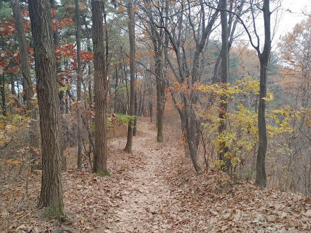 검단산 산책로