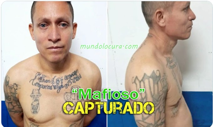 El Salvador: PNC captura al terrorista alias "Mafioso" tras mantener en zozobra a habitantes de la colonia 22 de abril
