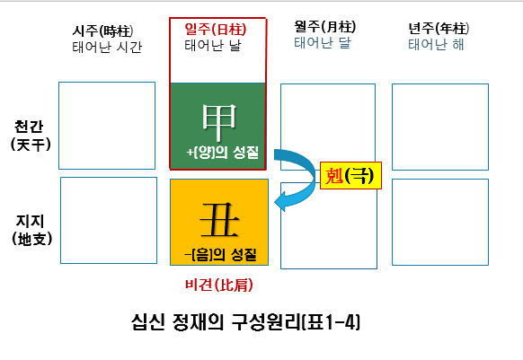 십신 정재의 구성원리