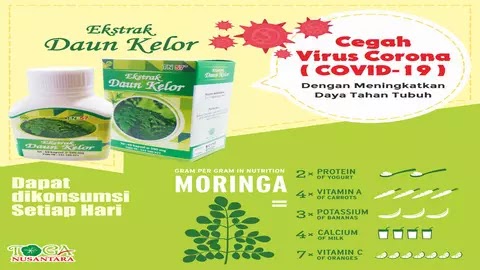 Ekstrak Daun Kelor Moringa