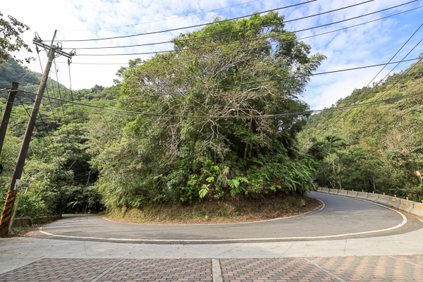 嘉義梅山仙人堀步道秘境，杉林木棧道輕鬆散步聽蟲鳴鳥叫水流聲