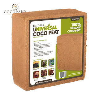 cocopeat block