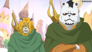 ワンピースアニメ WCI編 816話 ミンク族 ゼポ ZEPO ペドロ PEDRO | ONE PIECE Episode 816