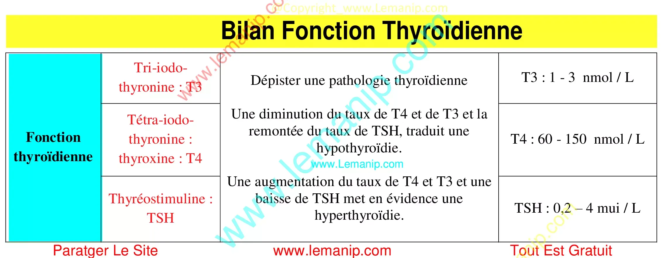 Bilan Fonction Thyroïdienne