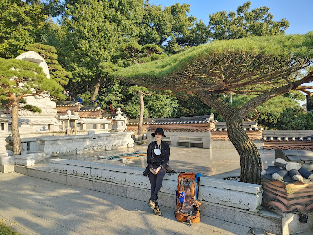 기원정사 명품소나무