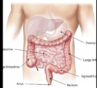 घर पर पेट को साफ करने के प्राकृतिक और सुरक्षित तरीके। Natural way to detoxe stomach at home in hindi.