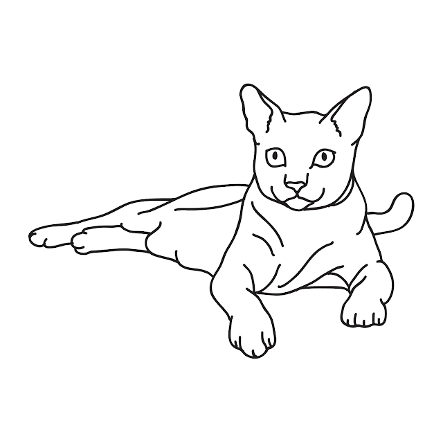 Cat Outline drawing free download - Mi Drawing Center 