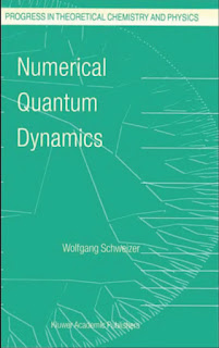 Numerical Quantum Dynamics