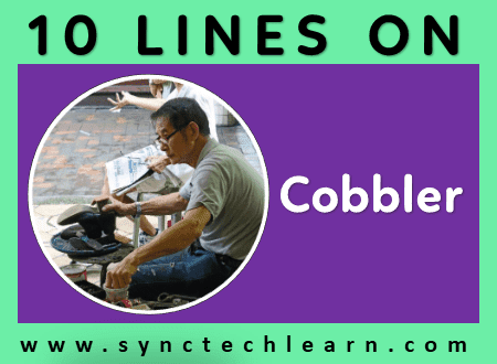 short essay on Cobbler