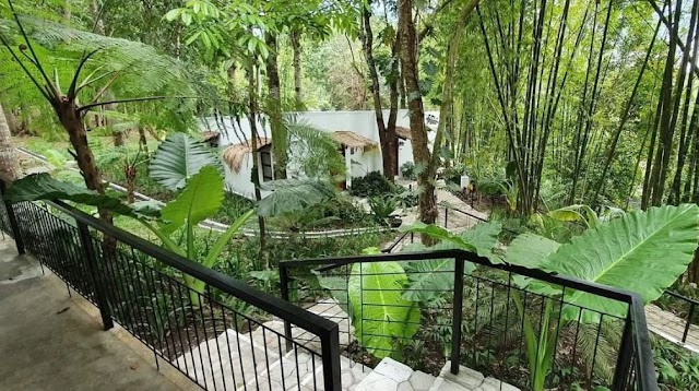 An Elegantly Designed Oasis in the Middle of Negros Island Provides Rest and Relaxation for the Weary 