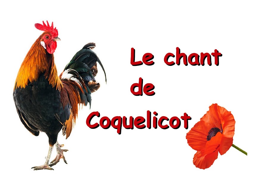 Le chant de Coquelicot