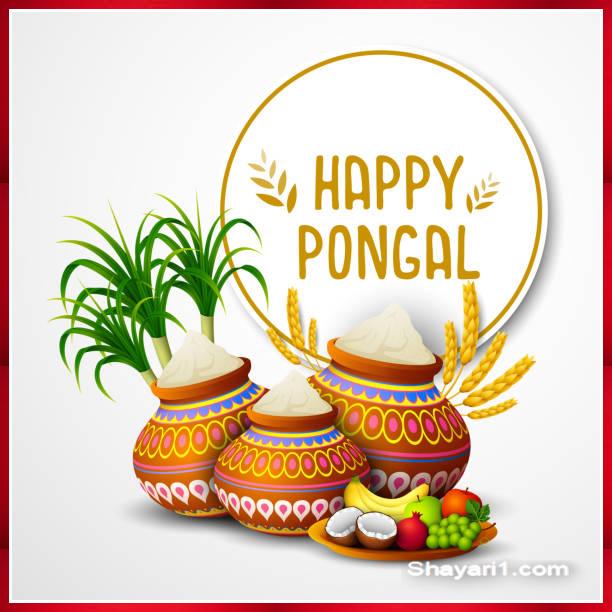 pongal photos