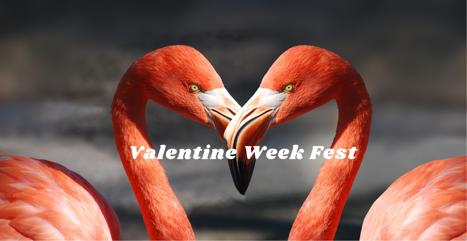 valentineweekfest-Wishes,Images,quotes & recipes