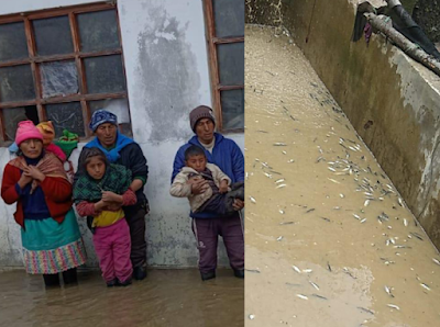 Río deja sin casa a diez familias y mata 80 mil truchas