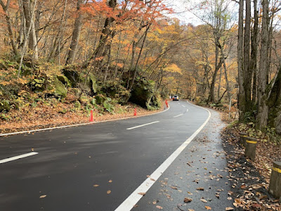 奥入瀬渓流沿いの国道