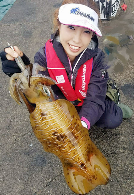 흰꼴뚜기(무늬오징어)