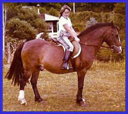 Sunshine on her favourite horse!