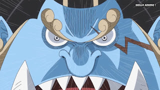 ワンピースアニメ WCI編 835話 ジンベエ | ONE PIECE ホールケーキアイランド編