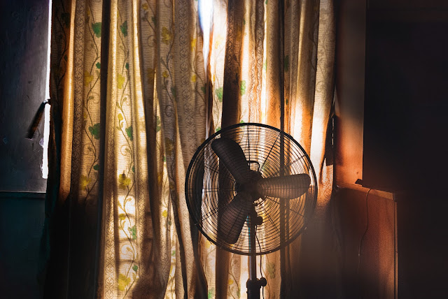 Electric fan