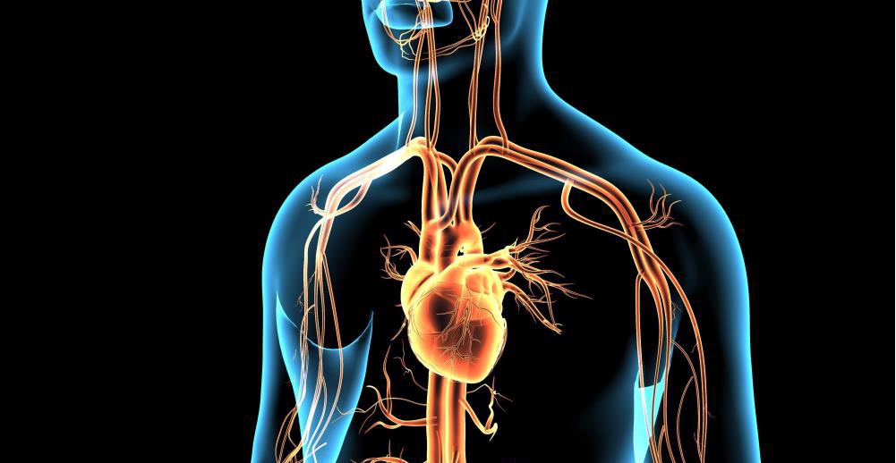 New study confirms link between COVID-19 vaccines and serious heart problems