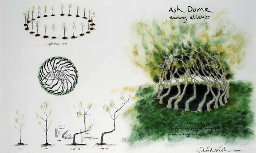 Drawing : Charcoal and sustainability
