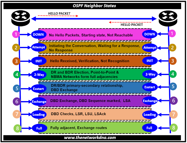 OSPF Neighbor States discussion