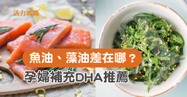 懷孕DHA推薦，藻油、魚油比較