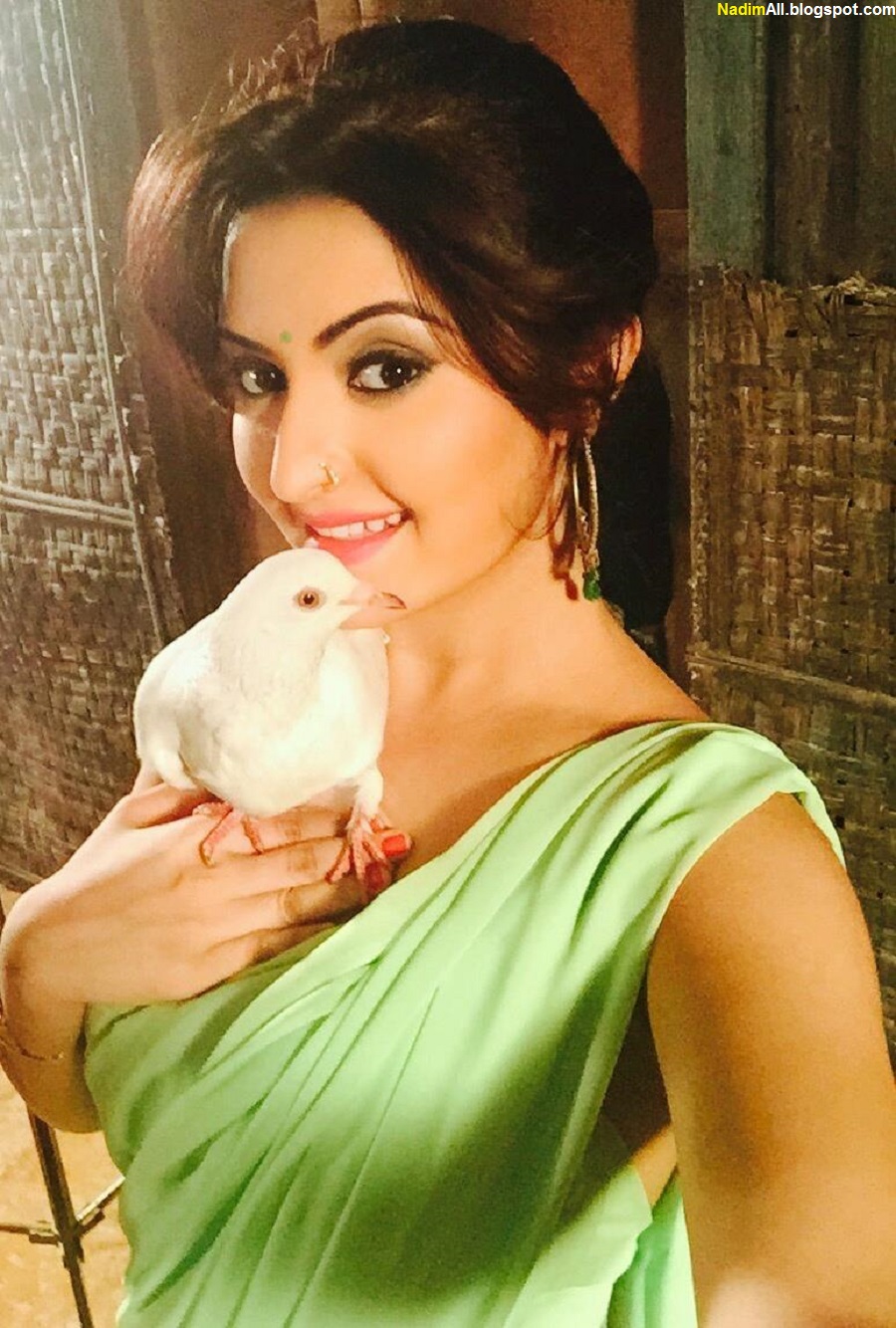 porimoni-hot-2015