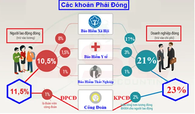 Dịch vụ bảo hiểm xã hội