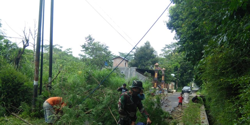 Antisipasi Bencana Alam, Babinsa Koramil Jatinom Gotong Royong Bersama Warga Evakuasi Pohon Tumbang
