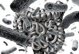Why Your Skin Needs as Much Attention as Your Gut