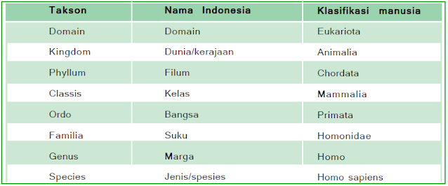 Contoh klasifikasi pada manusia dari takson Kingdom sampai dengan Species dapat ditunjukkan pada tabel berikut ini