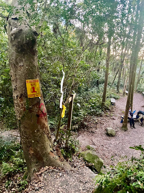 虎山下山--1號救援樁