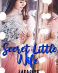 Novel Secret Little Wife Karya Sakabiya Full Episode