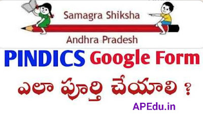 How to Submit Google Pindics form.