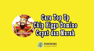 Cara Top Up Higgs Domino Dengan Cepat dan Murah