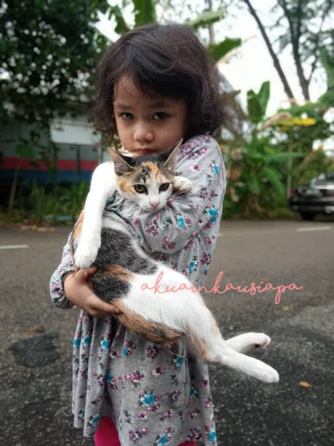 ainul bersama kucing