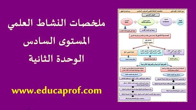 ملخصات النشاط العلمي المستوى السادس ابتدائي الوحدة الثانية