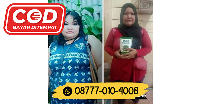 08777 010 4008 HARGA KOPI HIJAU UGCBangli