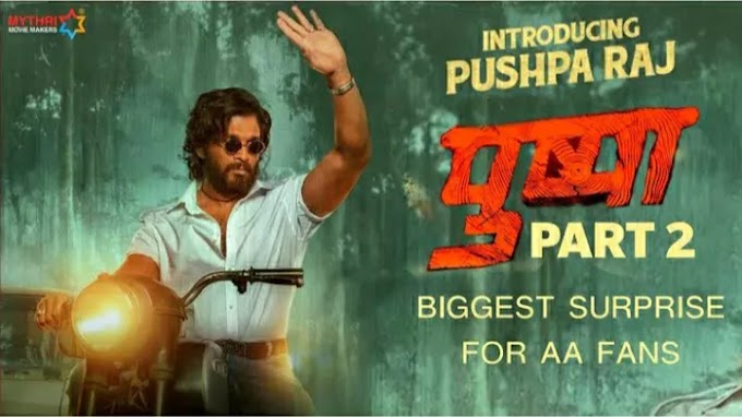 Pushpa Part 2 Release Date In Hindi : जानिए क्या होगी आगे की कहानी