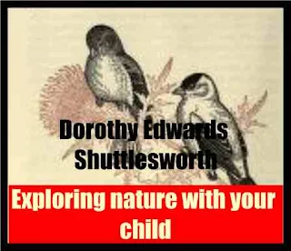 Exploring nature with your child