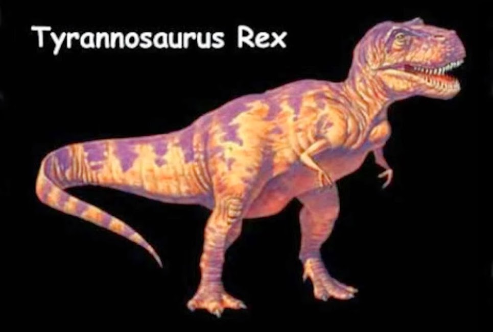 TYRANNASAURUS REX