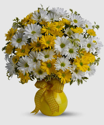 Oshun ama i fiori bianchi e gialli, quindi anche le gerbere