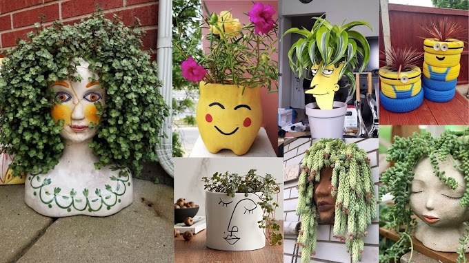 Top 10+ ideas for potted plants - hair 