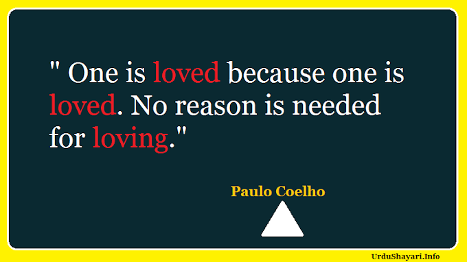 Best Paulo Coelho Quotes (From Alchemist )