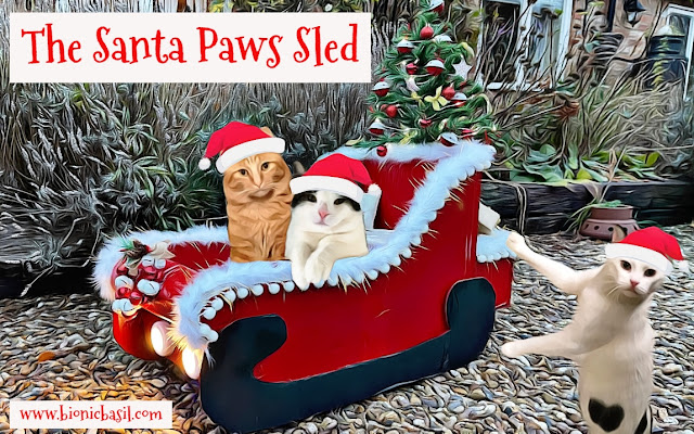 Crafting with Cats Christmas Special ©BionicBasil® The Santa Paws Sled